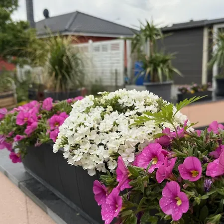 Kleine Idylle *